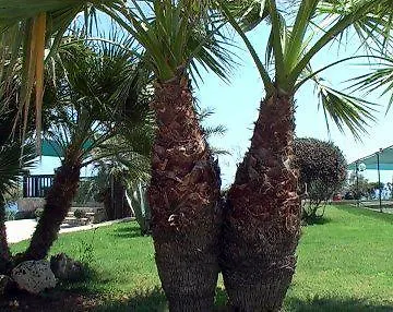 Отель Il Timone